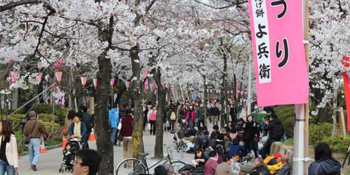 hanami